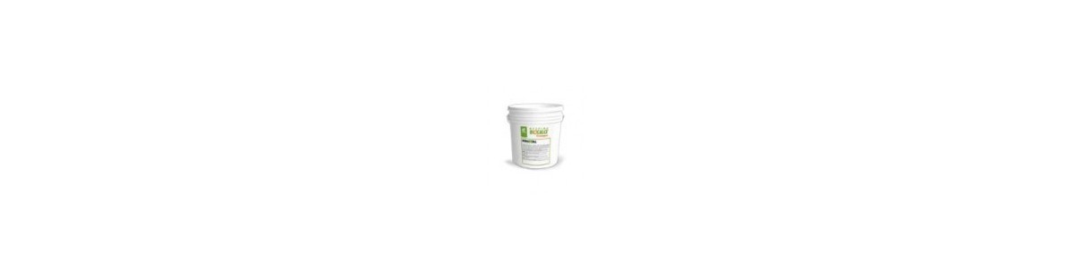 Paints for interiors and exteriors